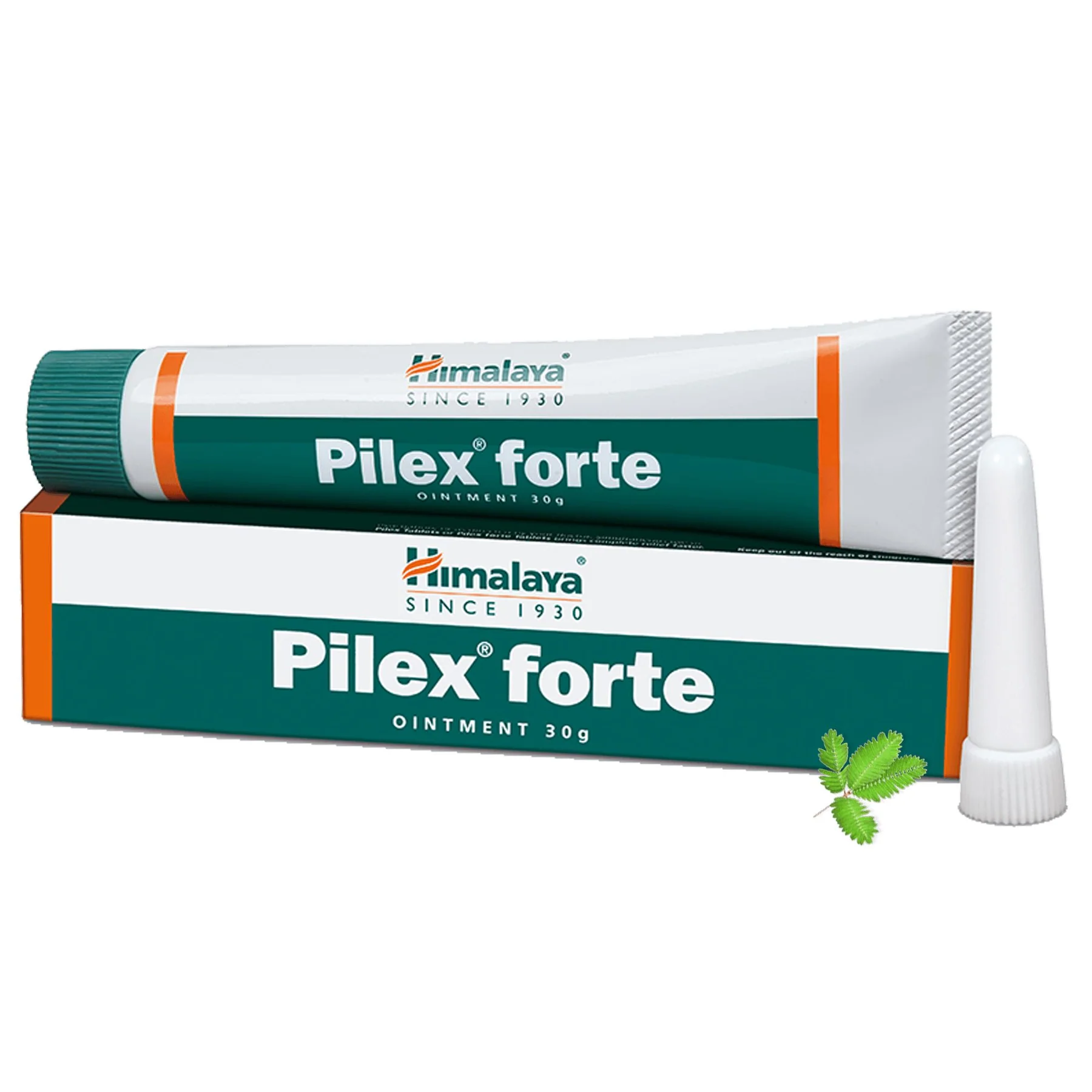 Pilex forte Ointment 30gms